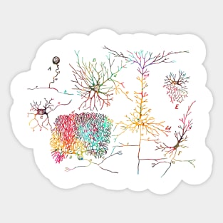 Nerve cells Sticker